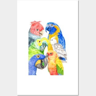 Several parrots in watercolor - rainbow - colored Posters and Art